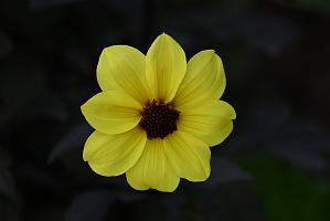 2025-06219091 Tower Hill Botanic Garden, MA